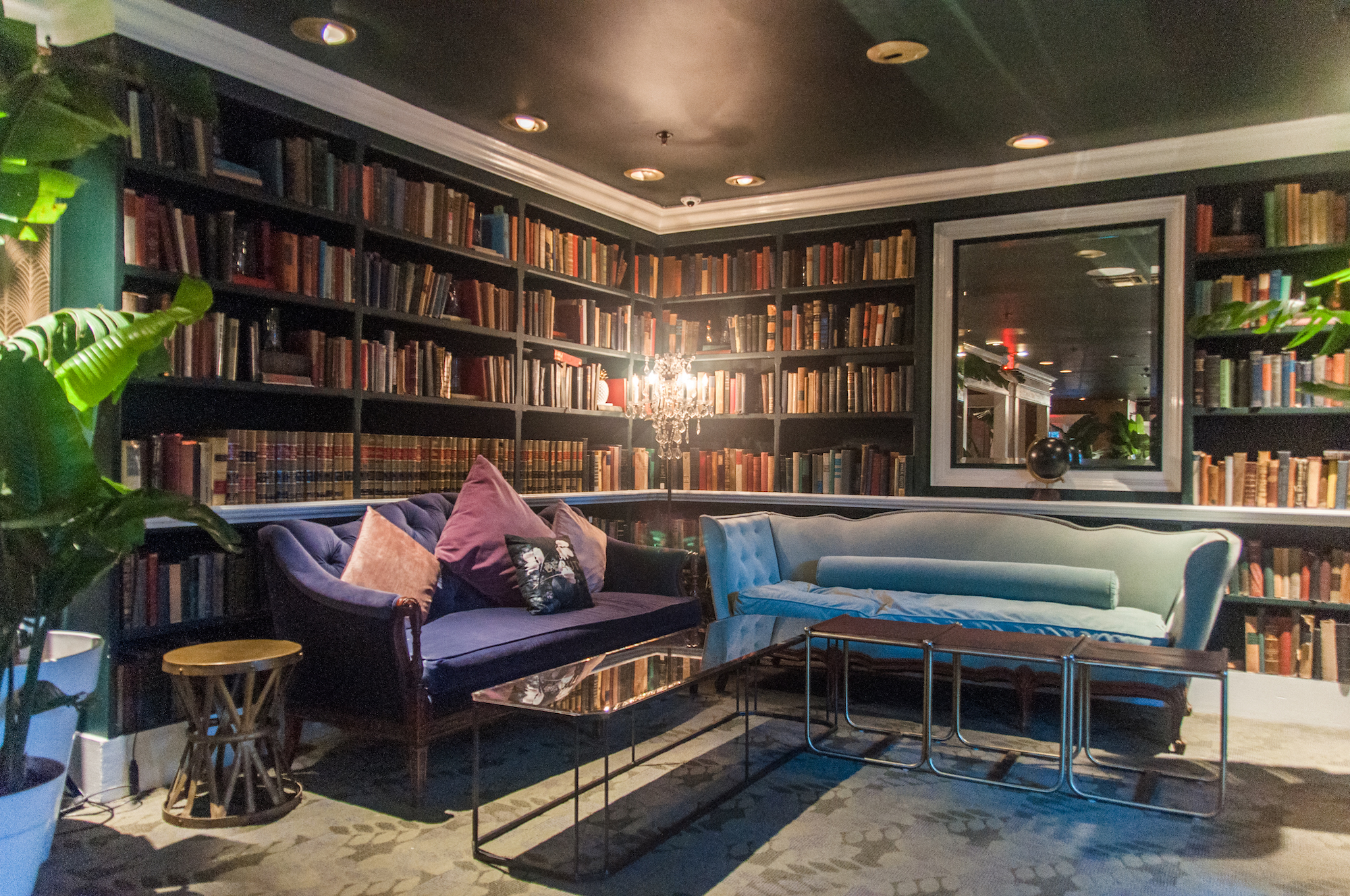 The Vintage Library in The Birdcage